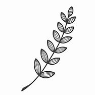 Image result for Line Art Leaf Vector