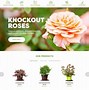 Image result for High Contrast Color Combinations