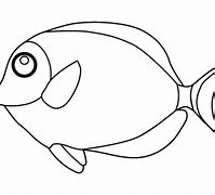 Image result for Blue Tang Fish Coloring Pages