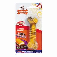 Image result for Dog Chew Toys Nylabone