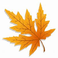 Image result for Fall Leaves Vector Free