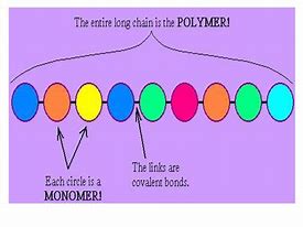 Image result for Dehydration Synthesis Steps of a Polymer