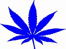 Image result for Colorful Weed Leaf