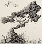 Image result for Bonsai Tree Drawings Pencil