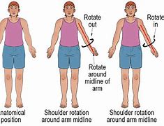 Image result for Sdof Undamped Movement Diagram