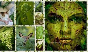 Image result for Collage Frame PSD