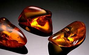 Image result for Different Kinds of Amber