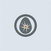 Image result for Orange Vector Icon