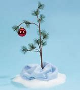 Image result for Real Christmas Tree255