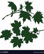 Image result for Maple Tree Branch Vector