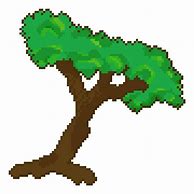 Image result for Oak Tree Sprout