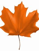 Image result for fall leaves clipart