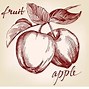 Image result for A Picture of an Apple Tree