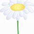 Image result for Daisy Clip Art Transparent