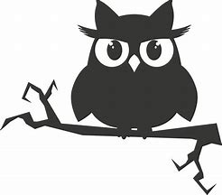 Image result for Owl in a Branch Vector