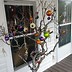 Image result for Decorated Halloween Trees