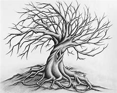 Image result for Scary Tree Pencil Drawing