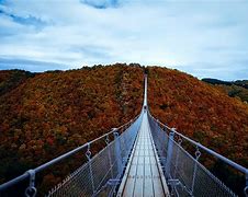 Image result for Fall Foliage Trips in PA