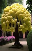 Image result for Willow Tree Stencil