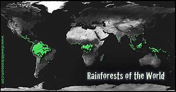 Image result for Amazon Tropical Rainforest Map