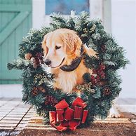 Image result for Cute Christmas Puppy Coloring Pages