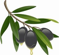 Image result for Olive Branch Icon Free