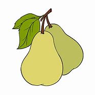 Image result for Draw a Pear