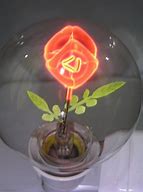 Image result for Antique Neon Bulb