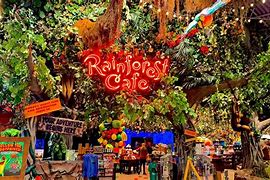 Image result for Rainforest Cafe San Diego CA