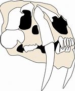 Image result for Smilodon Clip Art