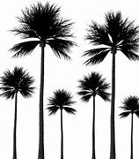 Image result for Art Deco Palm Leaf Silhouette