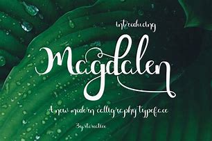 Image result for Modern Calligraphy Designs