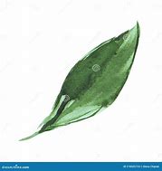 Image result for Simple Green Leaf Watercolor