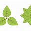 Image result for S Made with Leaf Vector Image