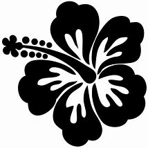 Image result for White Hawaiian Flower Clip Art