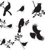 Image result for Bird and a Final Silhouettes