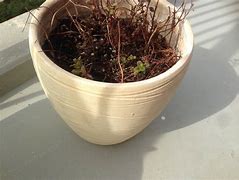 Image result for Flower Pot Garden Containers