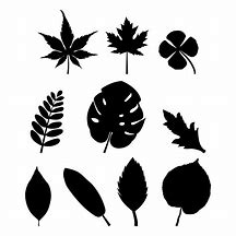 Image result for Leaves Silhouette Vector