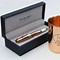 Image result for Montegrappa Mule Fountain Pen