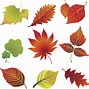 Image result for Yellow Fall Leaf Clip Art