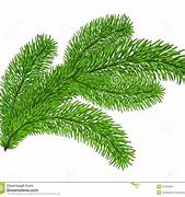 Image result for Evergreen Tree Clip Art