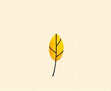 Image result for Leaf Outline Vector