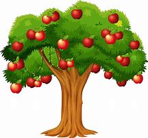 Image result for Apple Tree Clip Art