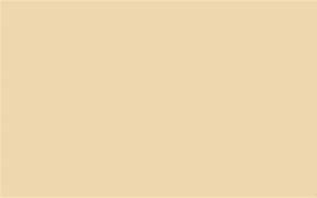 Image result for Beige Tan Background