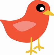 Image result for Colourful Birds Clip Art