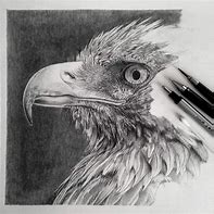 Image result for Graphite Pencil Drawings