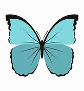 Image result for Butterfly Icon