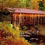 Image result for Ashland Covered Bridge in Autumn