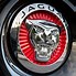 Image result for Jaguar Logo 3D