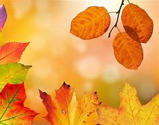 Image result for Fall Foliage Peak Times